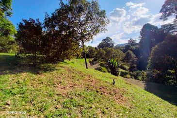 🌳 FOR SALE – Tanah Kebun Durian 2.7 Ekar @ Sungai Lui, Hulu Langat, Selangor. 🌳