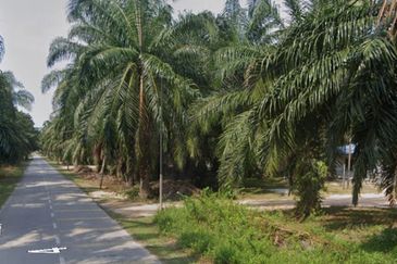 ✨ FOR SALE | Tanah 1.2 Ekar @ Bukit Kuching, Jeram, Kuala Selangor ✨