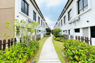 Setia Warisan Tropika (Belladonna)