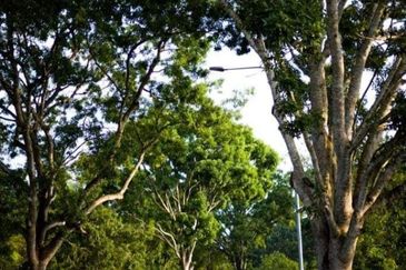 College Heights Garden Resort