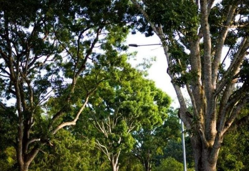 Perdana College Heights