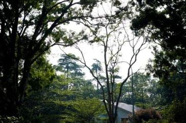 Perdana College Heights