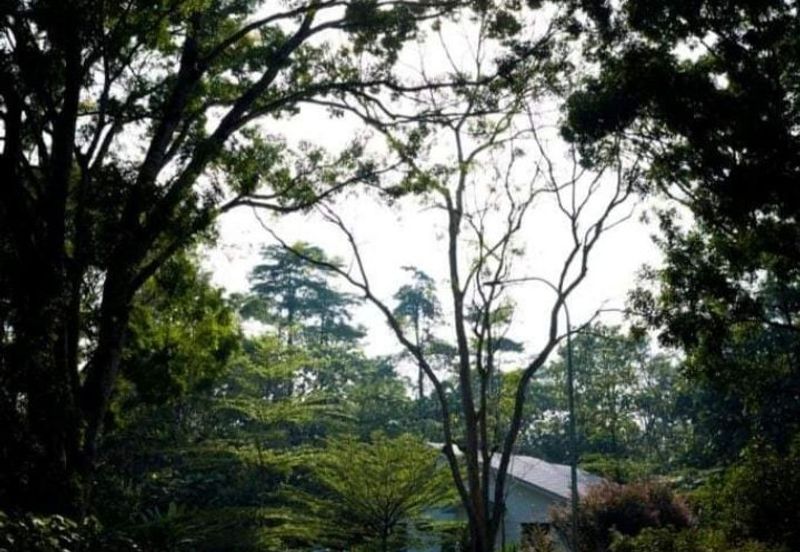 Perdana College Heights