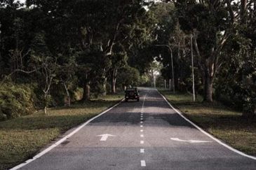 Perdana College Heights