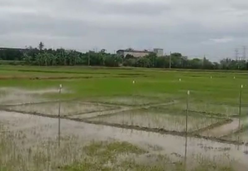 HMS002-TANAH 5 EKAR TEPI JALAN LAHAR KEPAH BUMBONG  LIMA DI KEPALA BATAS UNTUK DI JUAL