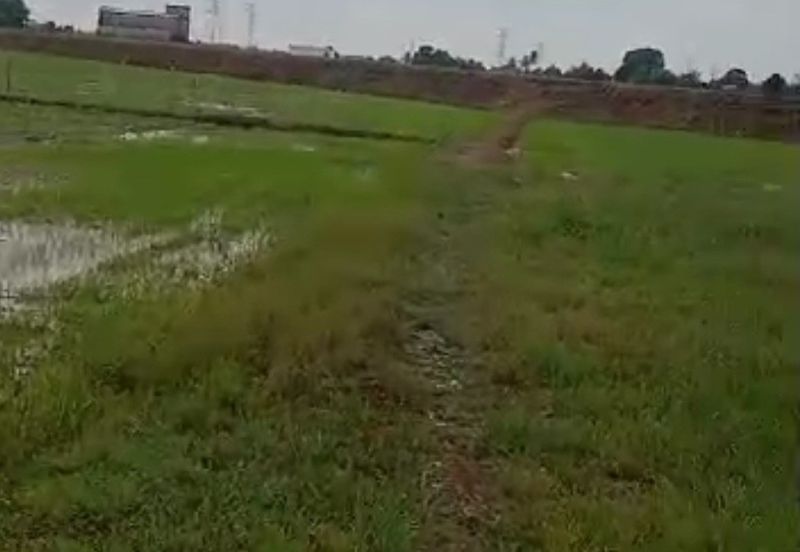 HMS002-TANAH 5 EKAR TEPI JALAN LAHAR KEPAH BUMBONG  LIMA DI KEPALA BATAS UNTUK DI JUAL