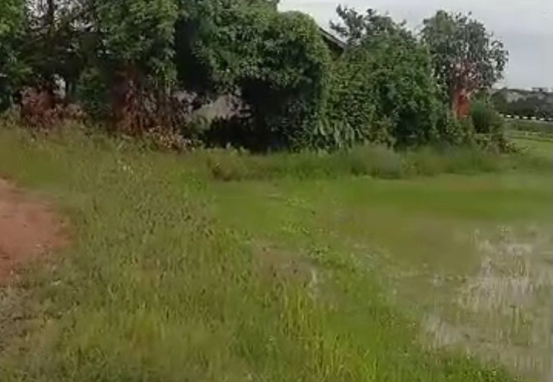 HMS002-TANAH 5 EKAR TEPI JALAN LAHAR KEPAH BUMBONG  LIMA DI KEPALA BATAS UNTUK DI JUAL