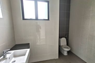 Elmeri (Dillenia Series), Setia Alam