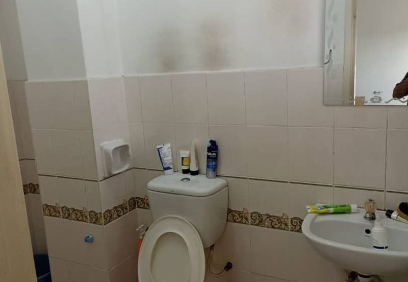 Bandar Bukit Tinggi 2