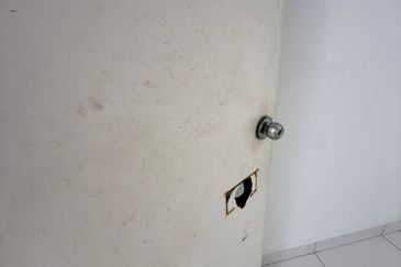 Caranday Park @ Setia Tropika