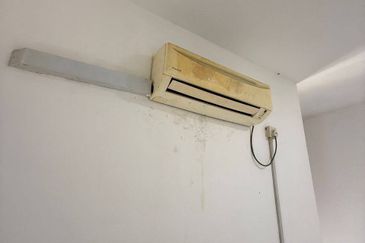 Caranday Park @ Setia Tropika