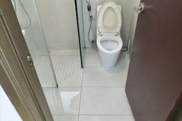 Amberside Country Garden @ Danga Bay