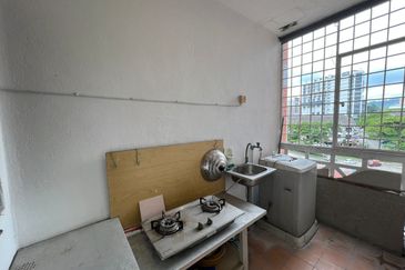 Evergreen Park Acorn and Hazel