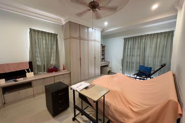 Evergreen Park Acorn and Hazel