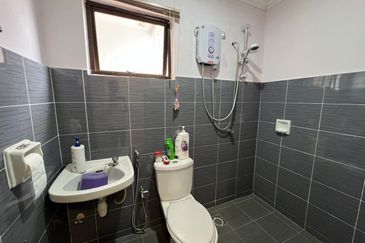 Evergreen Park Acorn and Hazel