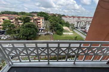 Evergreen Park Acorn and Hazel