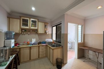 Evergreen Park Acorn and Hazel