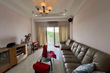 Evergreen Park Acorn and Hazel