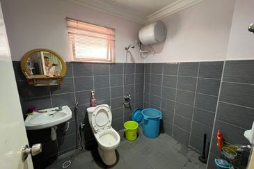 Evergreen Park Acorn and Hazel