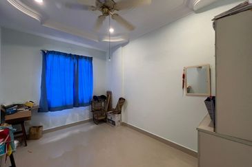 Evergreen Park Acorn and Hazel