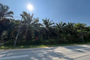Kampung Sang Lee Agricultural Land 