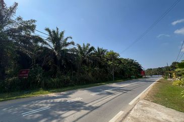 Kampung Sang Lee Agricultural Land 