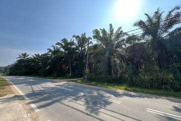 Kampung Sang Lee Agricultural Land 