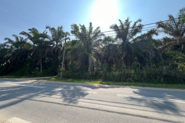 Kampung Sang Lee Agricultural Land 