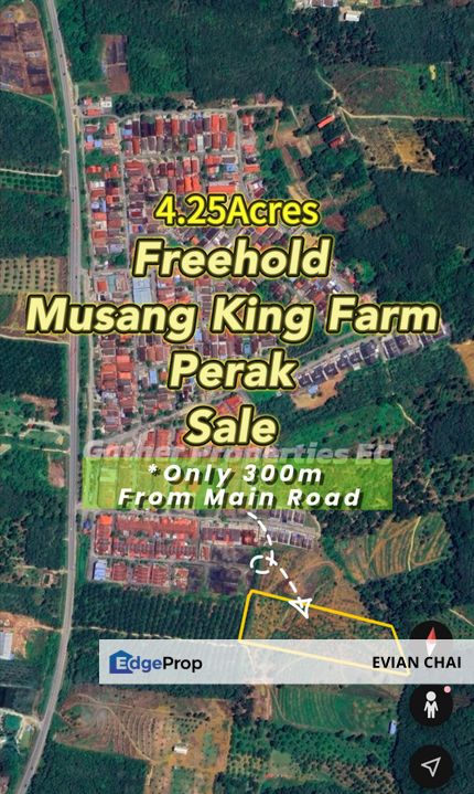 Freehold Musang King Farm Kuala Kangsar Perak For Sale *ONLY 300m From Main Road,Next Residential Area*, Perak, Kuala Kangsar