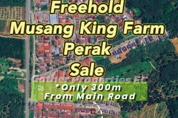 Freehold Musang King Farm Kuala Kangsar Perak For Sale *ONLY 300m From Main Road,Next Residential Area*