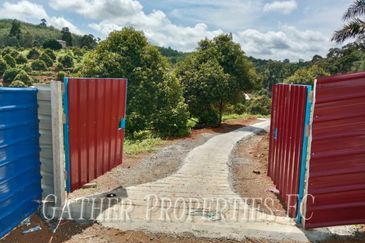 Freehold Musang King Farm Kuala Kangsar Perak For Sale *ONLY 300m From Main Road,Next Residential Area*