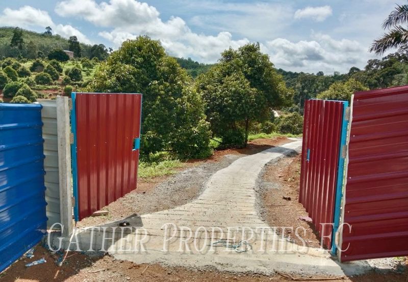 Freehold Musang King Farm Kuala Kangsar Perak For Sale *ONLY 300m From Main Road,Next Residential Area*