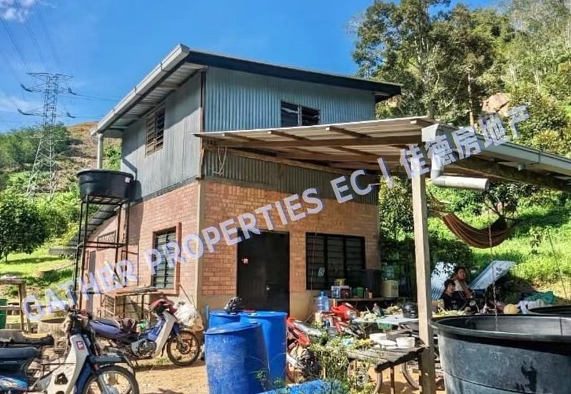 Lenggong Perak,Freehold 34Acres Agriculture Land,Tropical Fruit (musangking),For Sale/Invest