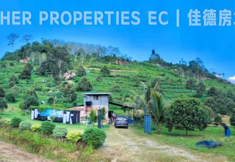 Lenggong Perak,Freehold 34Acres Agriculture Land,Tropical Fruit (musangking),For Sale/Invest