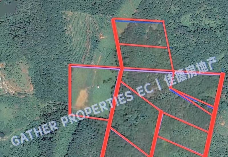 Lenggong Perak,Freehold 34Acres Agriculture Land,Tropical Fruit (musangking),For Sale/Invest