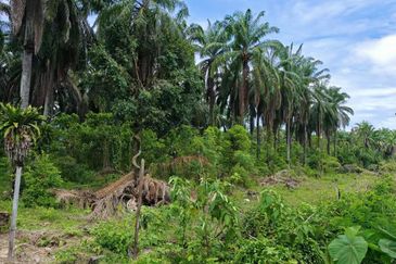 Bandar Baru Sri Klebang