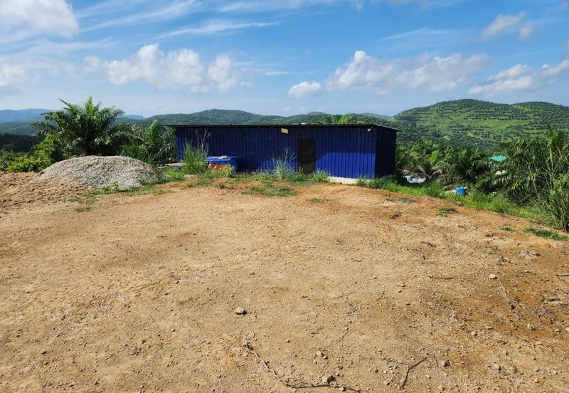 Kebun Musang King 16 ekar di N.9 untuk Dijual