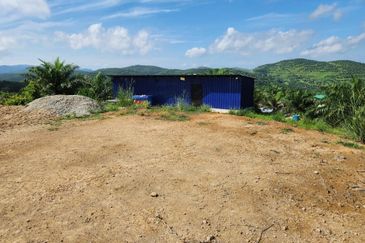 Kebun Musang King 16 ekar di N.9 untuk Dijual