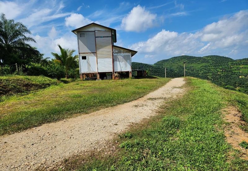 Kebun Musang King 16 ekar di N.9 untuk Dijual