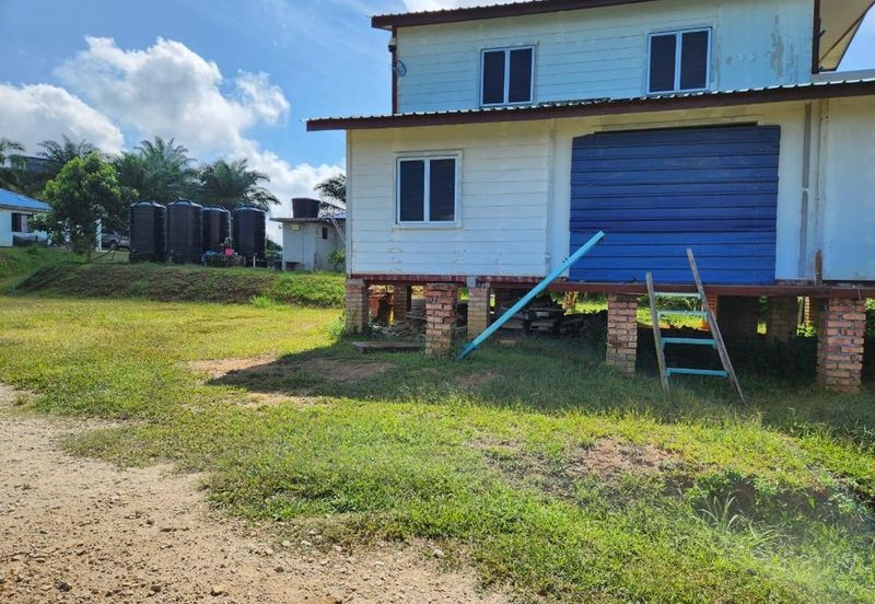 Kebun Musang King 16 ekar di N.9 untuk Dijual