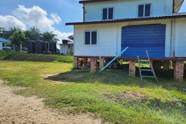 Kebun Musang King 16 ekar di N.9 untuk Dijual