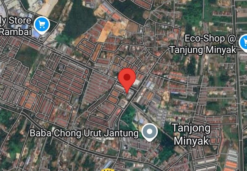 TAMAN TANJUNG MINYAK (TANJUNG MINYAK)