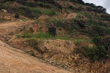 [DEPAN JALAN] Tanah 4.425 ekar di Alor Gajah, Melaka