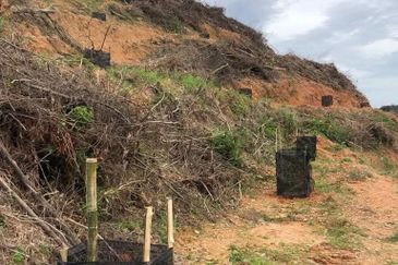 [DEPAN JALAN] Tanah 4.425 ekar di Alor Gajah, Melaka