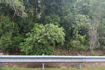 [MIX DEVELOPMENT LAND] Tanah 3.25 ekar di Teluk Chempedak, Kuantan‼️