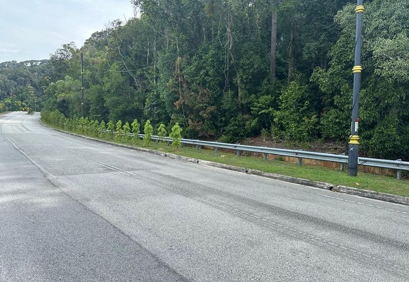 [MIX DEVELOPMENT LAND] Tanah 3.25 ekar di Teluk Chempedak, Kuantan‼️