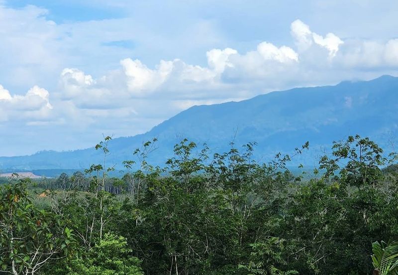 [VIEW 4 GUNUNG] TANAH 9.38 EKAR DI PUNCAK BUKIT ASAHAN, MELAKA‼️