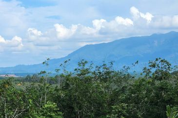 [VIEW 4 GUNUNG] TANAH 9.38 EKAR DI PUNCAK BUKIT ASAHAN, MELAKA‼️