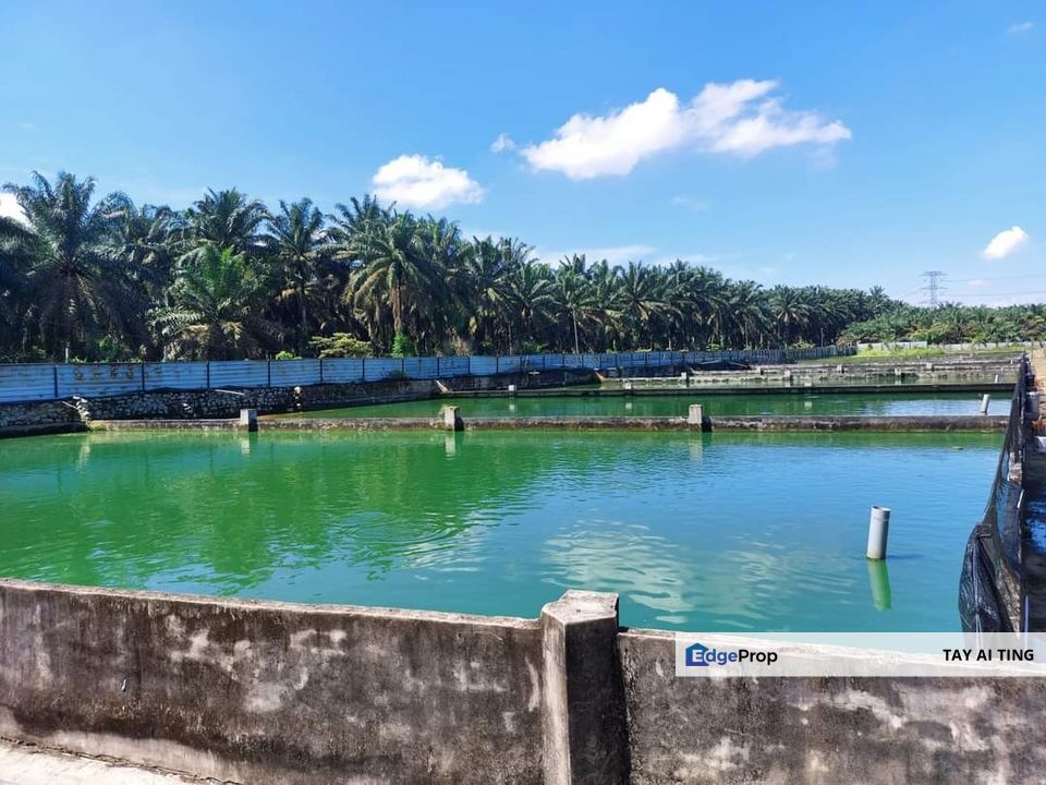 Plentong Agriculture Land with Fish Farm, Johor, Johor Bahru