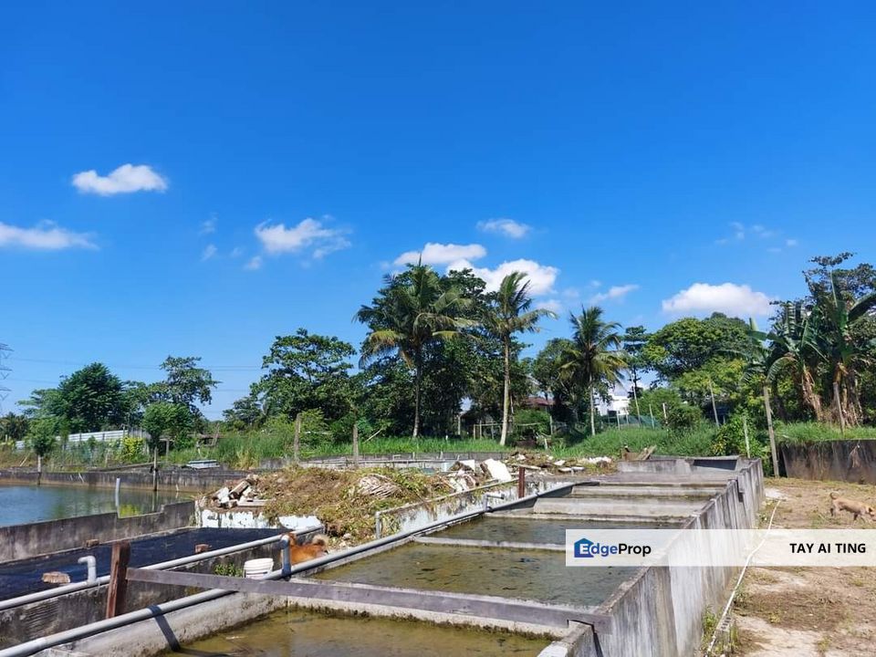 Plentong Agriculture Land with Fish Farm, Johor, Johor Bahru